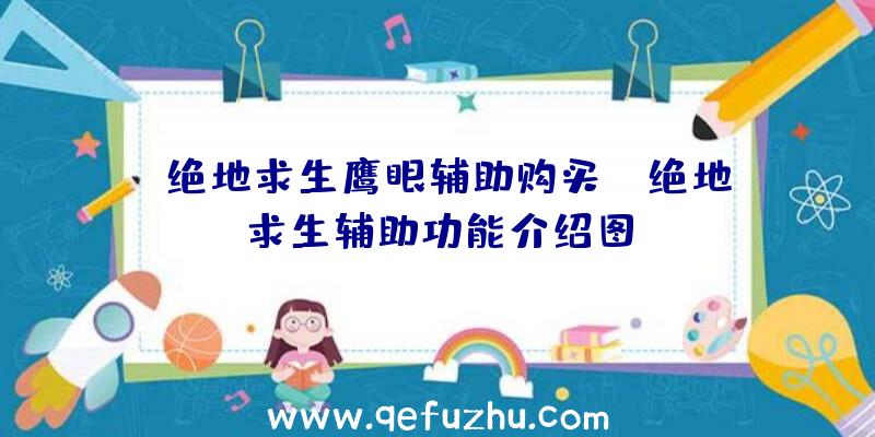 「绝地求生鹰眼辅助购买」|绝地求生辅助功能介绍图